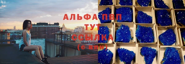 гидра Тында