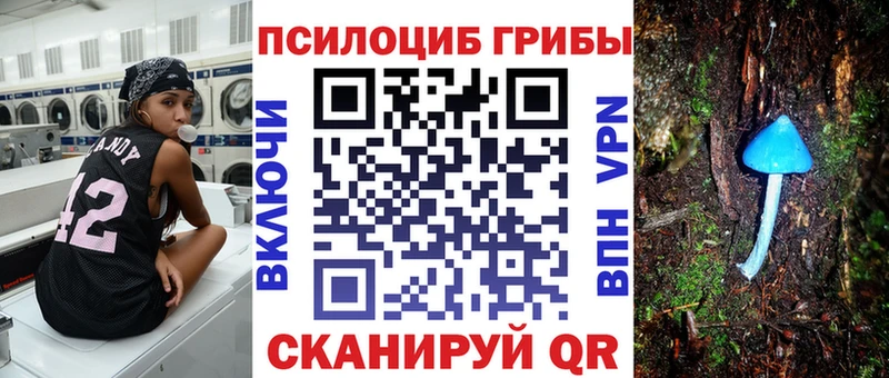 Псилоцибиновые грибы прущие грибы  Купить  Оленегорск 